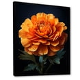 thumbnail image 2 of Designart "Radiant Beauty The Gold Marigold" Floral & Botanical Floater Framed Canvas Print, 2 of 7