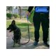 thumbnail image 5 of Bolsa de cintura para mascotas, cinturón de seguridad retráctil, correa de manos libres, correa ajustable para correr, trotar, entrenamiento perfecto para caminar, correa para perro, accesorios |, 5 of 5