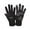 Black, variant on Waterproof Thermal Touchscreen Gloves for Men Winter Cycling Polar