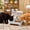#110Gray, variant on Pet Feeder Bowl, Dispenses Food and Water Together, 2-in-1 Cat Dish, Large Capacity Storage and Tip-Proof Non-Slip Base for Kittens, Small Dogs, and Daily Feeding.