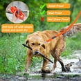 thumbnail image 5 of Vivifying Waterproof Dog Leash, 6FT Recall Training Agility Lead PVC  Dog Cord with Padded Handle for Small Medium Large Dogs Training, Walking, Swimming and Beach (Orange), 5 of 9
