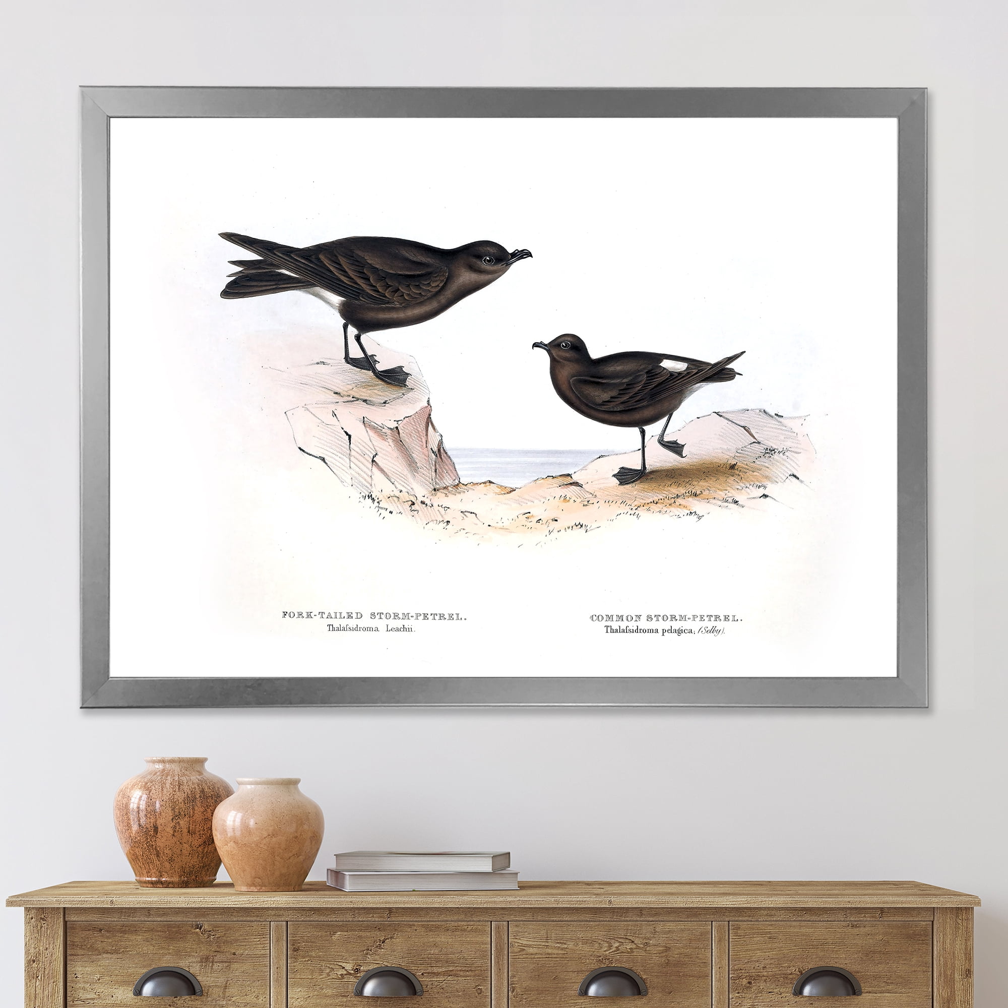 Designart 'Ancient Bird Of Europe III' Traditional Framed Art Print