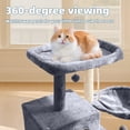 thumbnail image 7 of TWDEPART cat tree 10C, 7 of 7