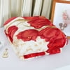 All Seasons Cozy Soft Plush Fleece Throw Blanket for Home Bedding Chair Sofa
