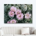 thumbnail image 2 of wall26 Canvas Print Wall Art Desert Southwest Ball Cactus Pink Flowers Nature Floral Photography Realism Botanical Wilderness Zen Rustic Colorful Decorative for Living Room, Bedroom, Office - 12&quot, 2 of 5