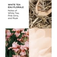 thumbnail image 3 of Perfume Elizabeth Arden White Tea Eau Florale EDT 50 ml Mujer, 3 of 4