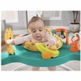 thumbnail image 5 of Fisher Price Cute Leopard Jumperoo HND47, 5 of 9