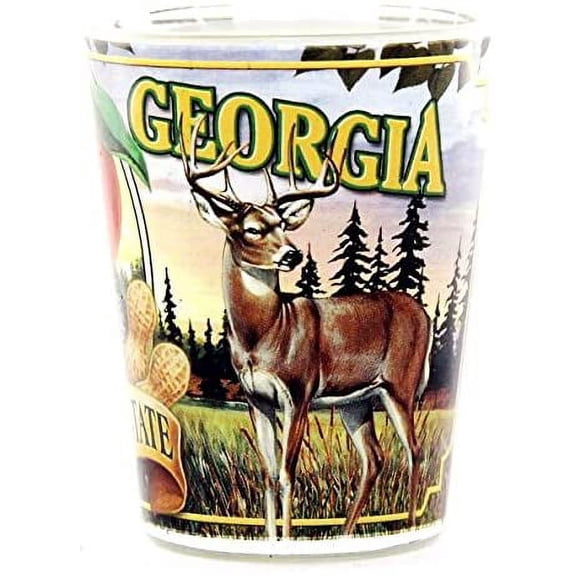 Georgia State Mural Shot Glass