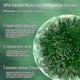thumbnail image 5 of Gaibosi Algae Peeling Whitening Melasma Peel Kit Natural Seaweed Bone Plant Extract Mask Rejuvenation Moisturize Facial Skin Care, 5 of 5