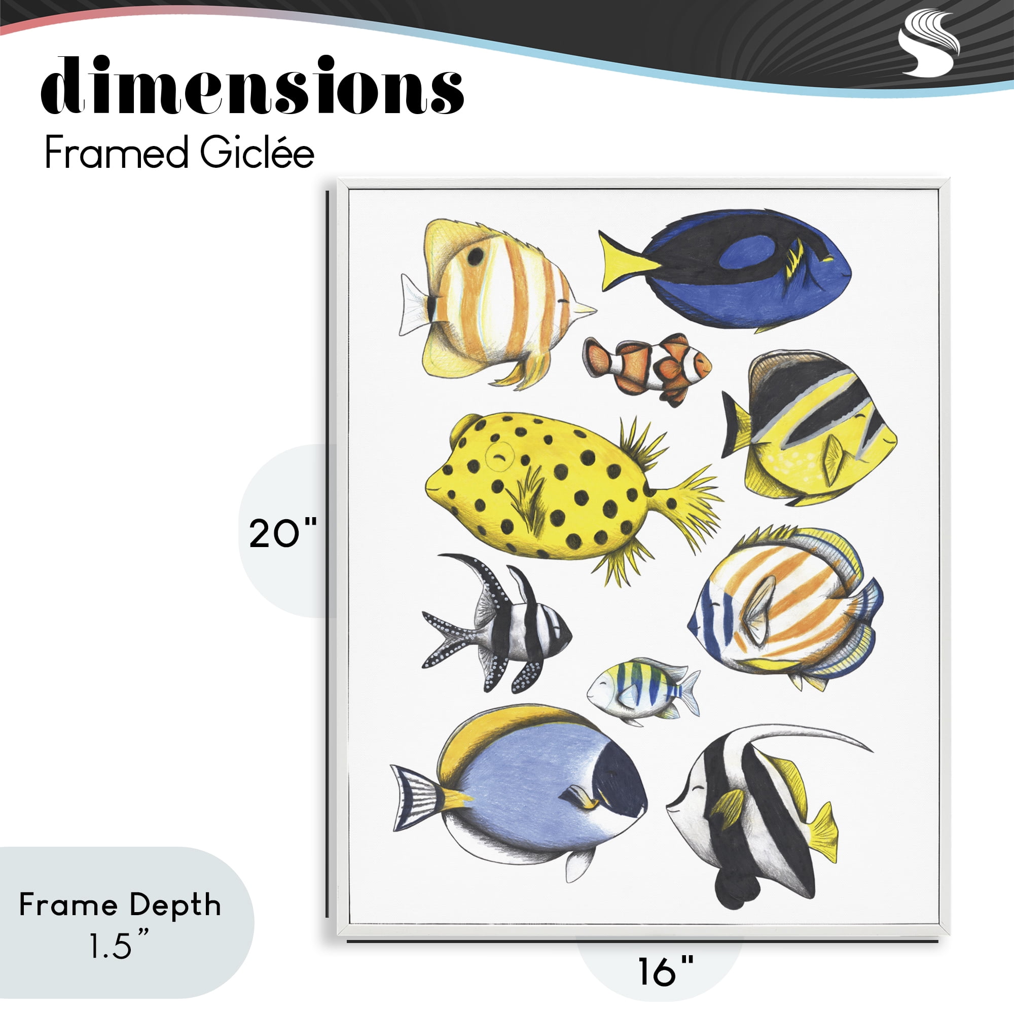 Stupell Industries Aquatic Fishes Collection White Framed Giclee Art, design by Cecilia Battaini