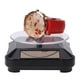 thumbnail image 4 of 038 Vitrina Solar Portátil para Reloj Soporte Presentación (), 4 of 6