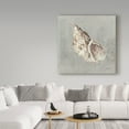 thumbnail image 3 of Trademark Fine Art 'Sand and Seashells II' Canvas Art by Lisa Audit, 3 of 3