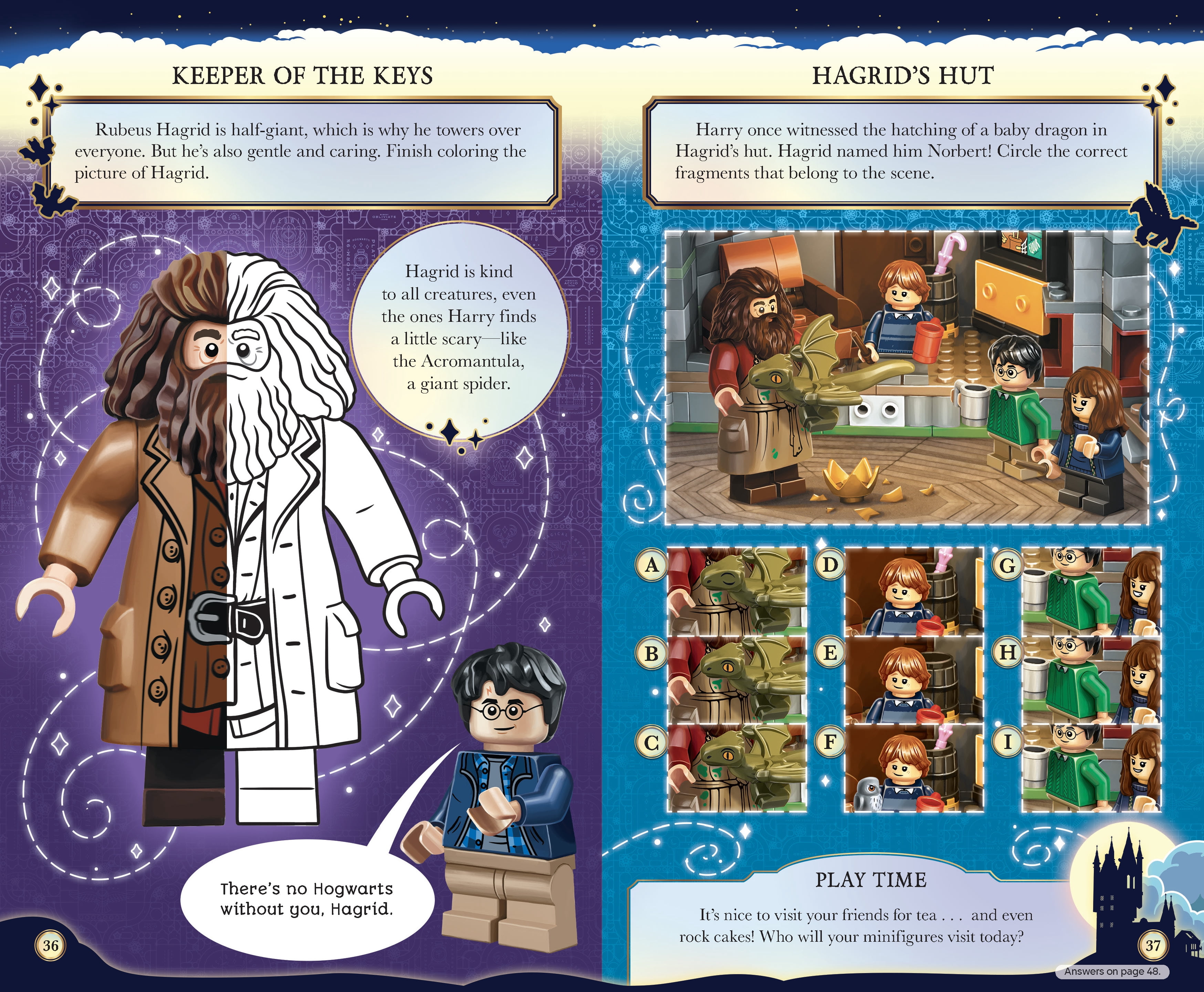 Build and Play Box: LEGO Harry Potter: Magic of Hogwarts (Paperback)