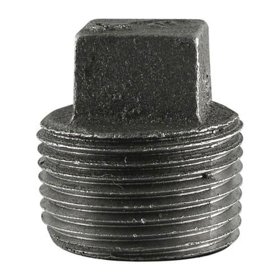 Plug, Black, 2-1/2" Square Hd
