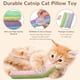 thumbnail image 5 of Almohada rellenable Cat Toy Retro Shaw Cat Tip, paquete de 3, 5 of 8