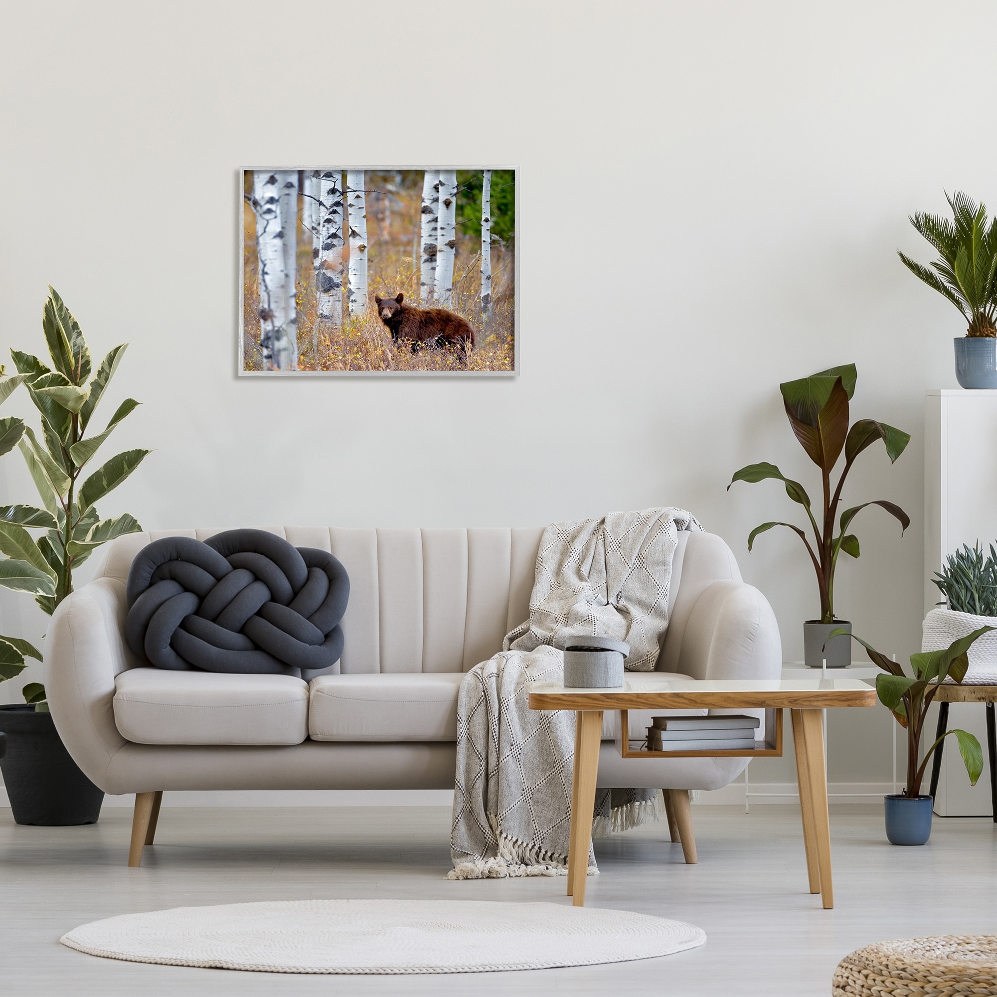 Stupell Industries Bear Cub Birch Tree Thicket Animals & Insects Photography Gray Framed Art Print Wall Art