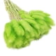 thumbnail image 5 of Naiovety 60 unidades/juego de flores secas para oficina, Hotel, sala de estar, boda, ceremonia, fiesta, banquete, hierbas, accesorios, Verde 10piezas, 5 of 6