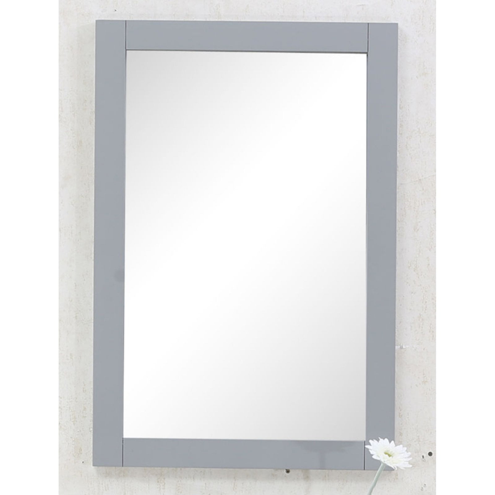Legion 20 in. Traditional Bathroom Mirror