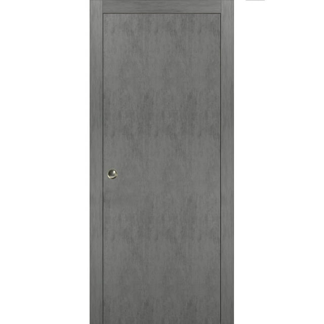 Sliding French Pocket Door 24 x 80 inches with | Planum 0010 Concrete | Kit Trims Rail Hardware | Solid Wood Interior Bedroom Sturdy Doors