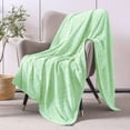 thumbnail image 5 of Whale Flotilla Soft Flannel Fleece Lightweight 50"x60" Throw Blanket, Brushed Chevron Design Fluffy Plush Cozy Blanket for All Seasons, Light Green, 5 of 7