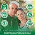 thumbnail image 6 of Zazzee USDA Organic Stinging Nettle 9000 mg – 120 Vegan Capsules – 20:1 Extract – Supports Prostate & Urinary Wellness – Vegan • Non-GMO • Made in USA, 6 of 11