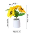 thumbnail image 3 of Sunflower LED Night Light with 3-Level Dimmable Warm Lights, USB Charging Ambient Lamp for Bedroom & Valentine’s Day Gift, 3 of 9