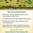 thumbnail image 7 of Baar Lawn Mole Castor Oil, MolEvict, Helps Rid Lawns & Gardens of Pesky Moles & Voles – 32 Ounces, 7 of 7