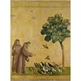 thumbnail image 2 of St Francis of Assisi Preaching to the Birds, Animals Religion Stretched Canvas Wall Art by Giotto di Bondone Sold by Art.Com, 2 of 5