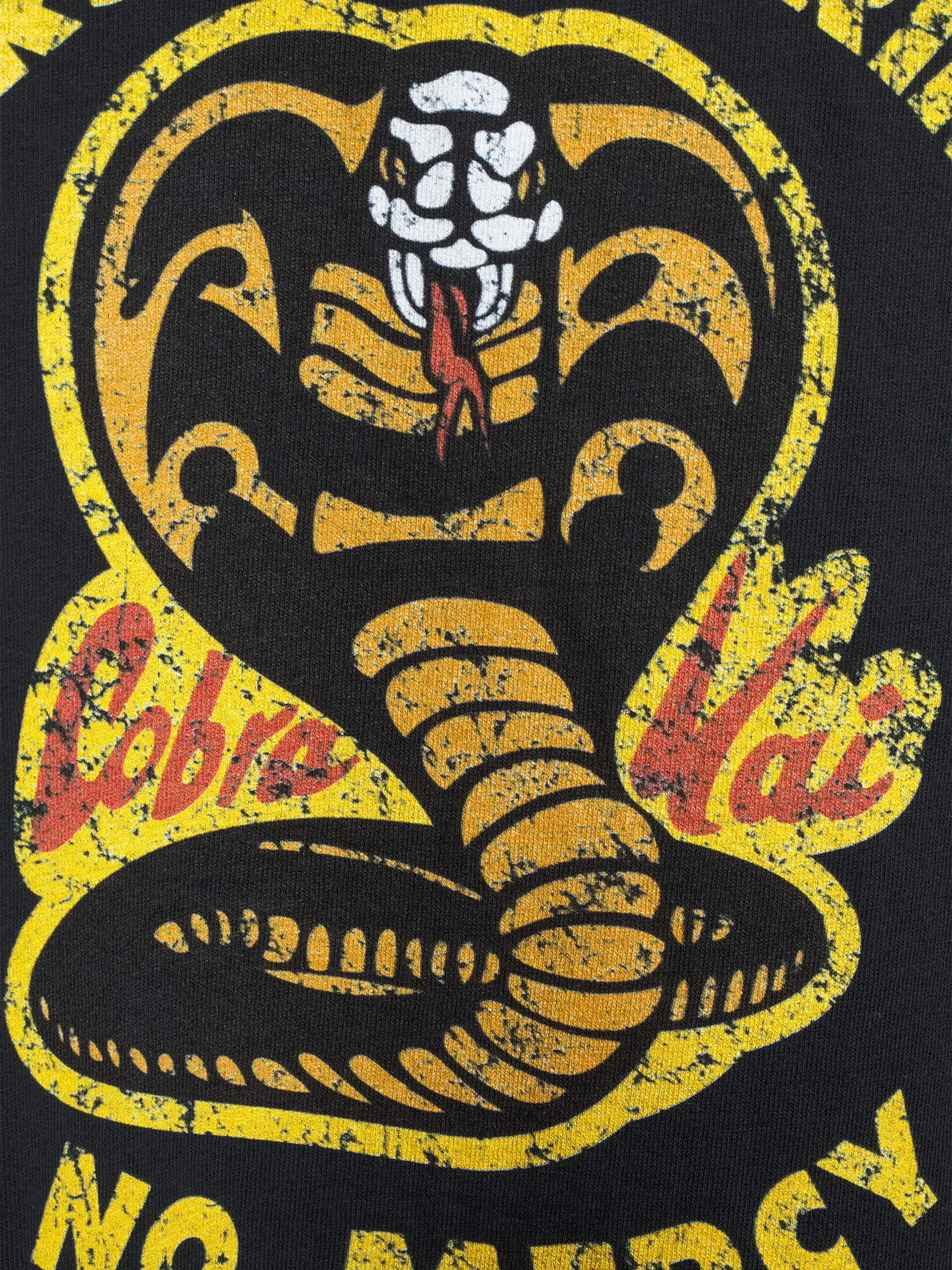 Cobra Kai Short Sleeve Graphic Relaxed Fit T-Shirt (Men's or Men's Big & Tall) 1 Pack