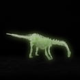 thumbnail image 4 of Mikilon Noctilucent Dinosaur Human Skeleton Model Assembly Skull Toy Bones Decor, 4 of 5