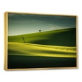 thumbnail image 2 of Designart "Monochrome Meadow In Green Photography" Meadow Floater Framed Canvas Art Print, 2 of 5