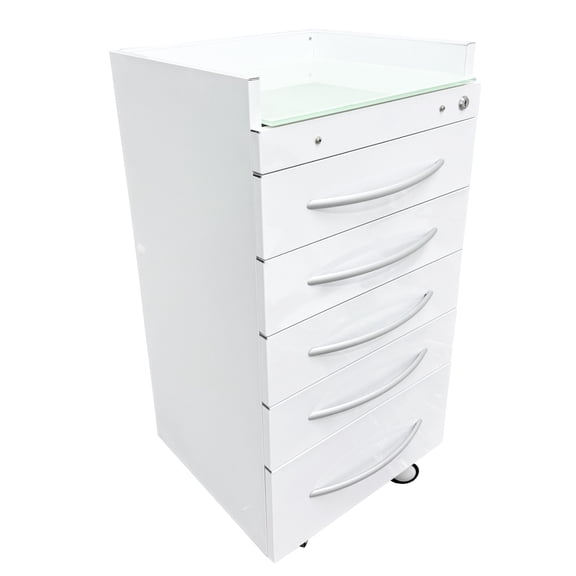 5 Drawers Dental Assistant Mobile Cabinet Office File Storage Cart Lockable Moving Side Cabinet with Lock and 2 Pallets White
