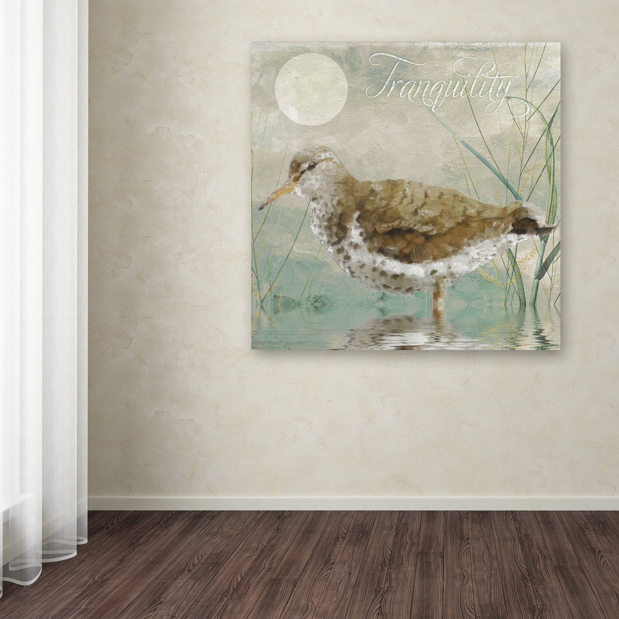 Trademark Fine Art "Sand Piper II" Canvas Art by Color Bakery