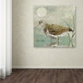 thumbnail image 4 of Trademark Fine Art "Sand Piper II" Canvas Art by Color Bakery, 4 of 4