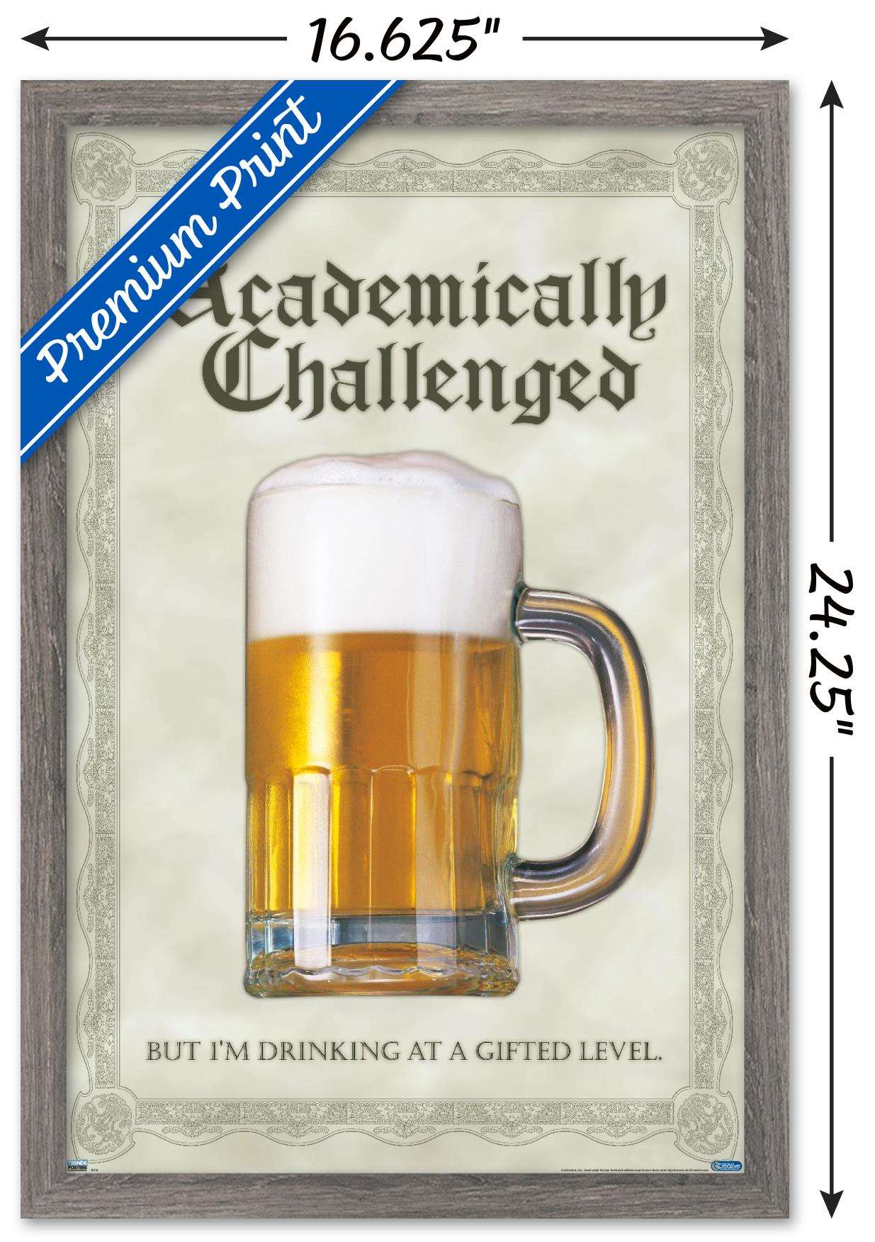 Academically Challenged Wall Poster, 14.725" x 22.375", Framed