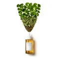 thumbnail image 4 of SKIN1004 Madagascar Centella Ampoule 100ml, 4 of 8