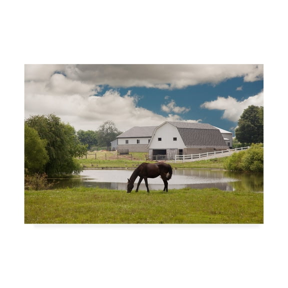 Trademark Fine Art 'Horse And Barn Shipshewana Indiana Color' Canvas Art by Monte Nagler