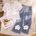 thumbnail image 4 of HAYIMI Girls Outfit Sets Solid Color Two Piece With Embroidered Floral Short Sleeve Shirt And Denim Pants Modern Outfit For Kids Summer Fashion Comfortable Wear Round Neck Clothing Sets , White, 4 of 5