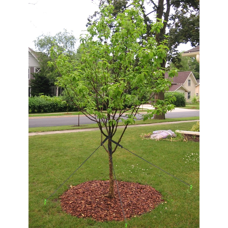 Tree Anchor Kit Tree Stakes And Supports Kit - 6 Spiral Stakes With ...