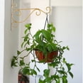 thumbnail image 3 of Soporte de pared de hierro para colgar plantas, gancho para colgar, decoración de jardín, 3 of 11