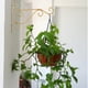 thumbnail image 3 of Soporte de pared de hierro para colgar plantas, gancho para colgar, decoración de jardín, 3 of 11