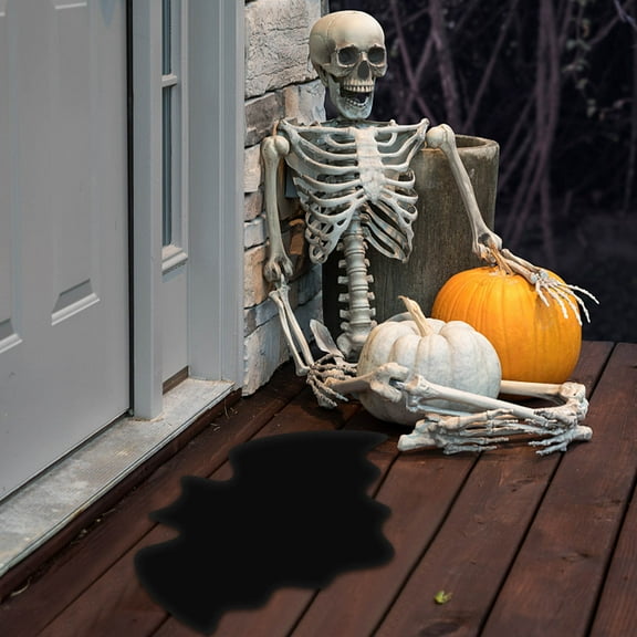 AuroraX Spider Outdoor Rug Halloween Black Soft Non-Slip Backing Doormat 23x35 Inch Contemporary