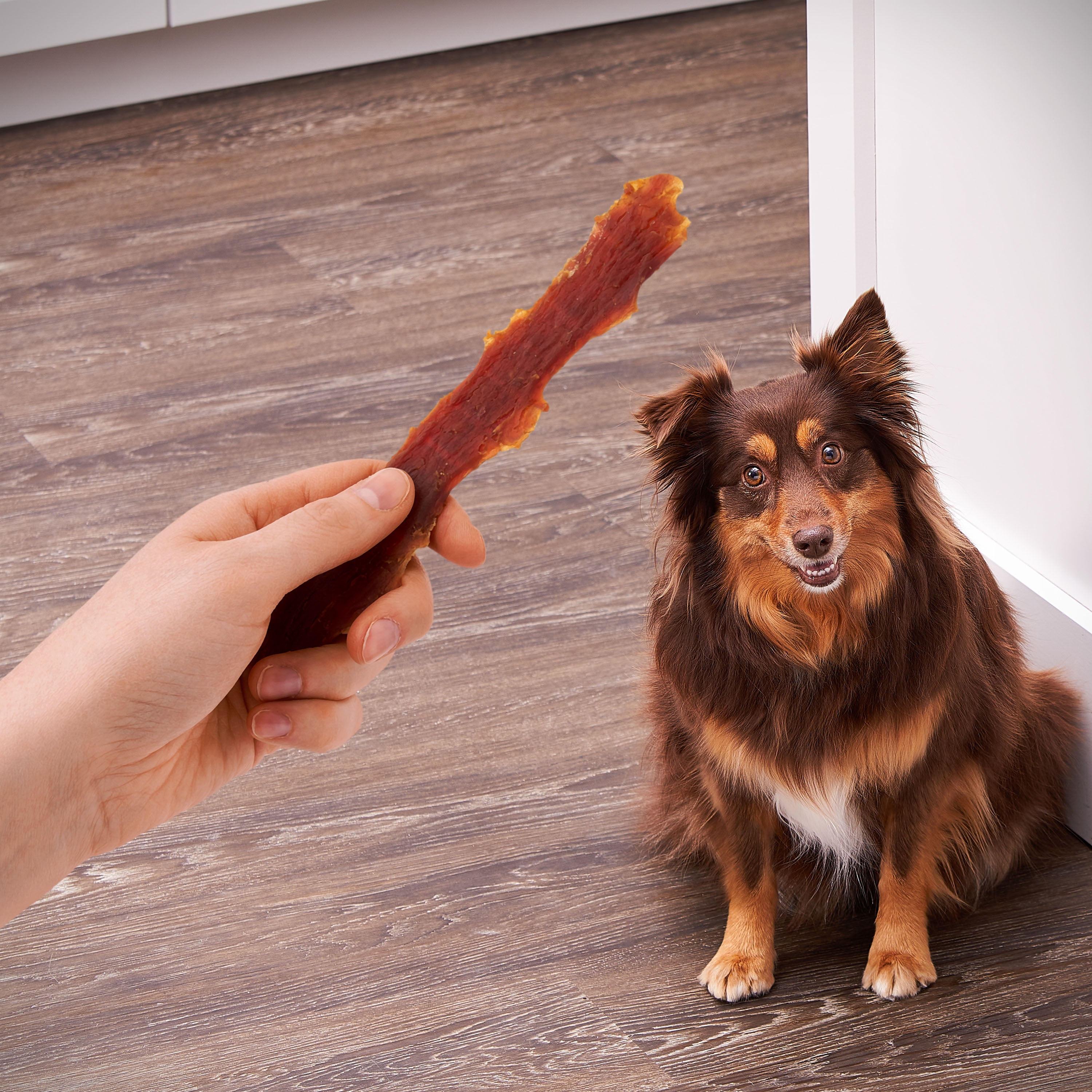 Golden Rewards Duck Flavor Premium Dry Jerky Treats for All Dogs, 64 oz