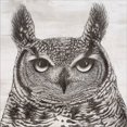 thumbnail image 2 of Great Art Now Portrait of an Owl by Marie-Elaine Cusson, Framed Wall Art, 20W x 20H, 2 of 3