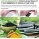 thumbnail image 5 of 30PCS Deep Cleansing Foot Pads, Adhesive Sheets for Foot and Body Care Better, Natural Ginger Powder Bamboo Vinegar Foot Patches, 5 of 5