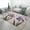 style-2, variant on Psychedelic Butterfly Rainbow Soft Comfy Rugs for Bedroom Room Living Room Bathroom Entrance Door Non-slip Comfort Mat 40"x60"