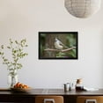 thumbnail image 3 of Tufted Titmouse, Framed Art Print Wall Art by Gary Carter Sold by Art.Com, 3 of 5
