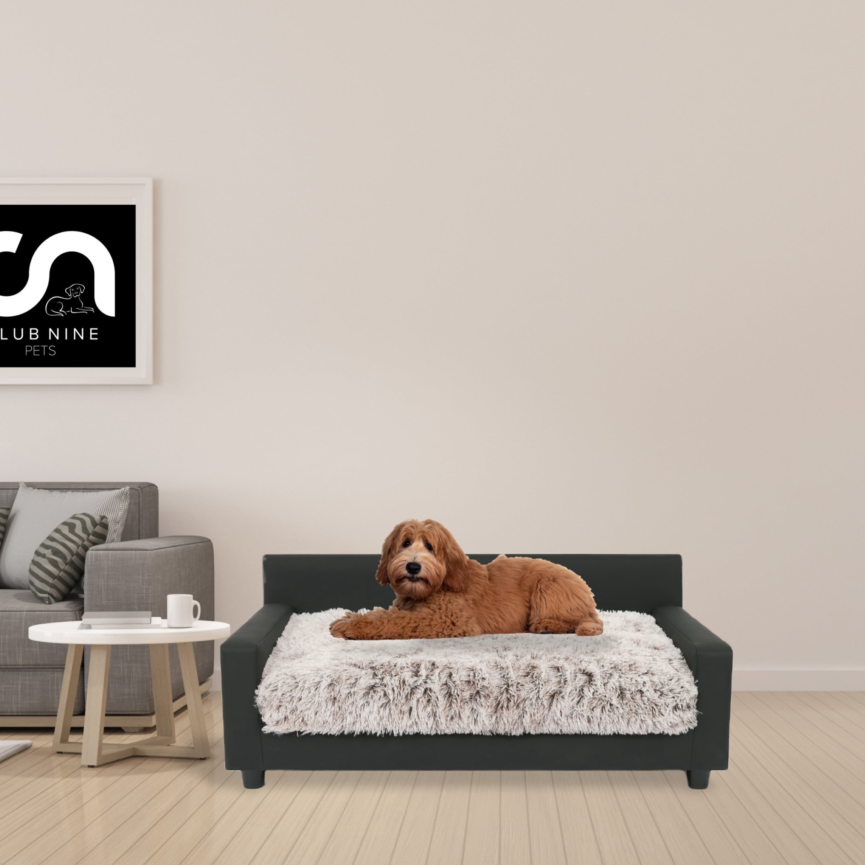 Club Nine Pets Metro Orthopedic Dog Bed, Sofa Style, Medium, Ivory.