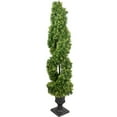 thumbnail image 5 of Northlight Real Touch™ Artificial Cedar Double Spiral Topiary Tree in Pot, Unlit - 4.5', 5 of 7