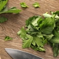thumbnail image 6 of Proven Winners 4" Flat Leaf Parsley Parsley Live Herb Plant in 4.25" Pot (4 Count), 6 of 8